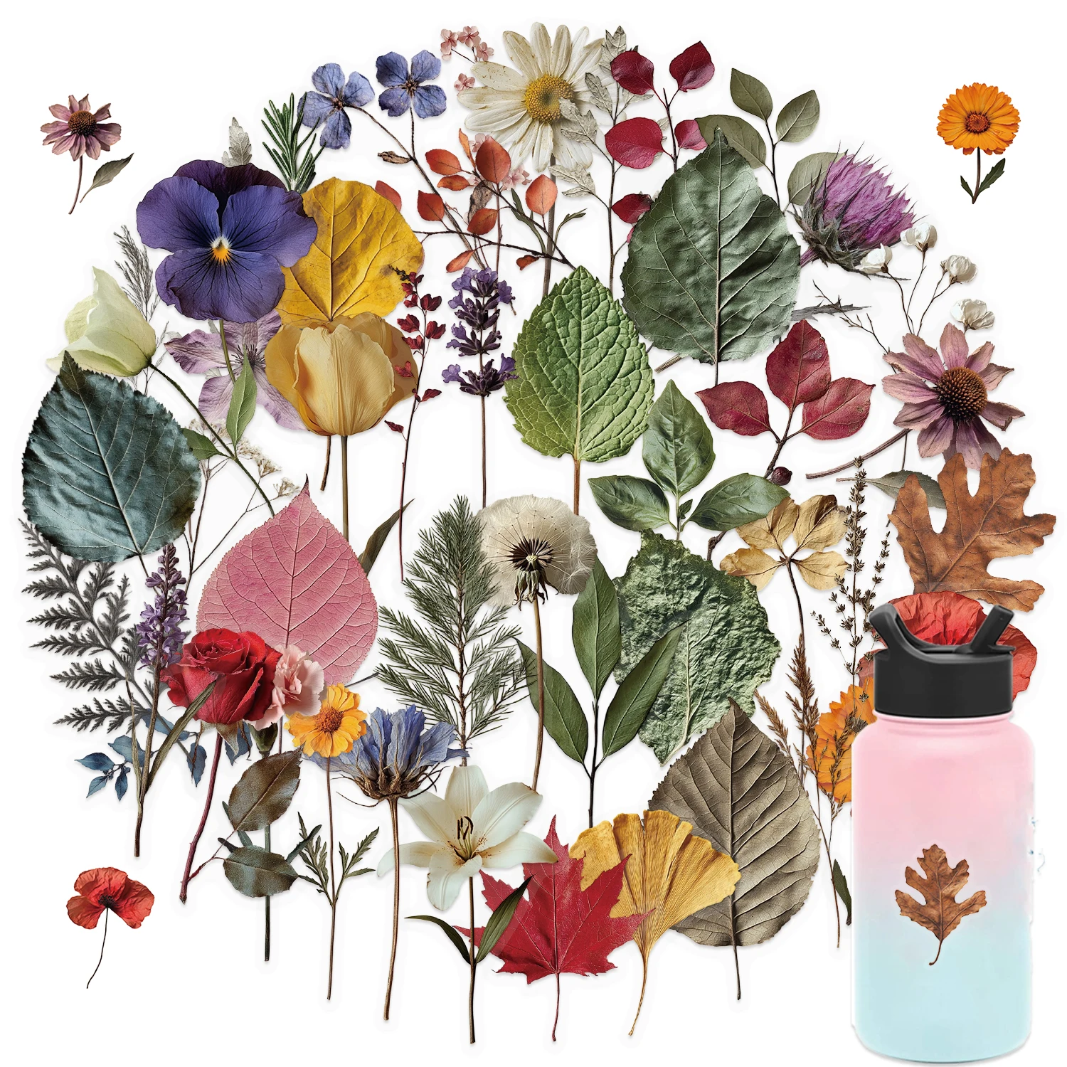 50Pcs Cute Plant Transparent Stickers Plant Specimen Decals Phone Case Notebook Skateboard Motorcycle Sticker Toy