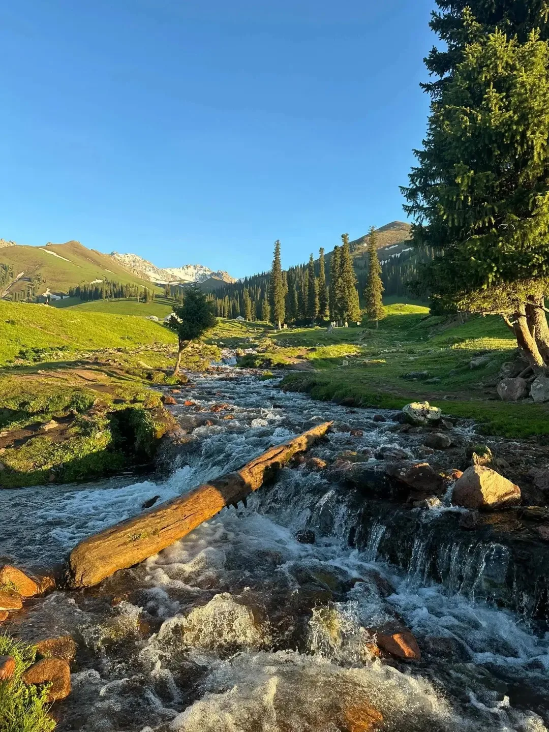 

8G-256G Android 13.0 For Lexus GS 2012-2016 Car Multimedia Player Auto Stereo Tape Recorder Navigation Head Unit Carplay