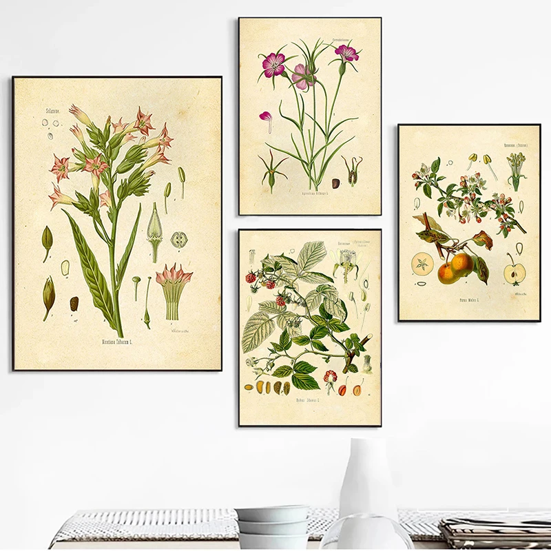 Vintage Wild Plant Canvas Painting Botanical Flower Posters and Prints Wall Art Pictures for Living Room Wall Decoration Cuadros