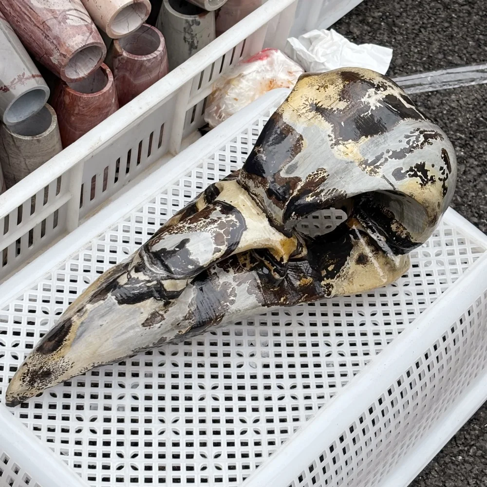 1PCS 35cm Natural Picture Stone Bird Skull Carving Crystal Healing Fengshui Crystal Home Decor Fashion Lucky Gift