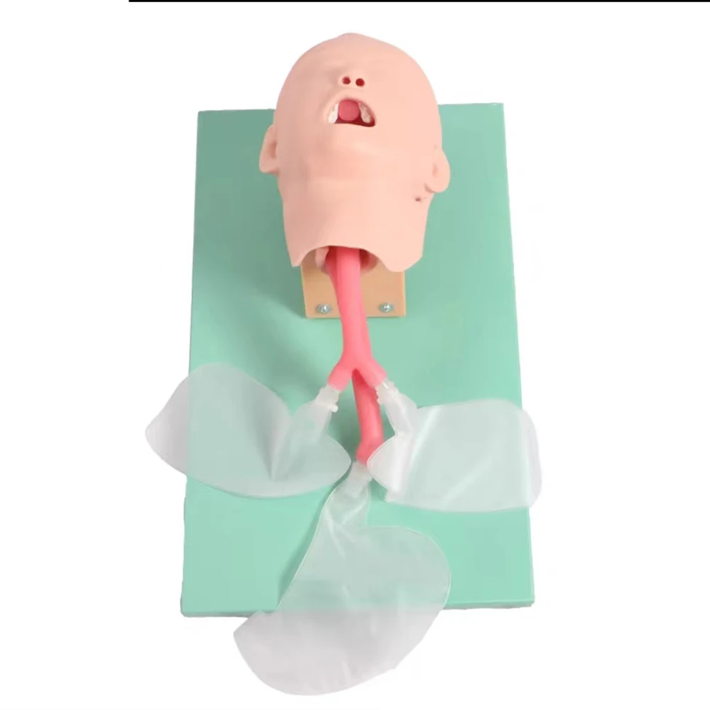 JHZ forNeonatal /Infant Tracheal Intubation Training Model  Study Teaching Model Oral Tracheal Intubation Simulator