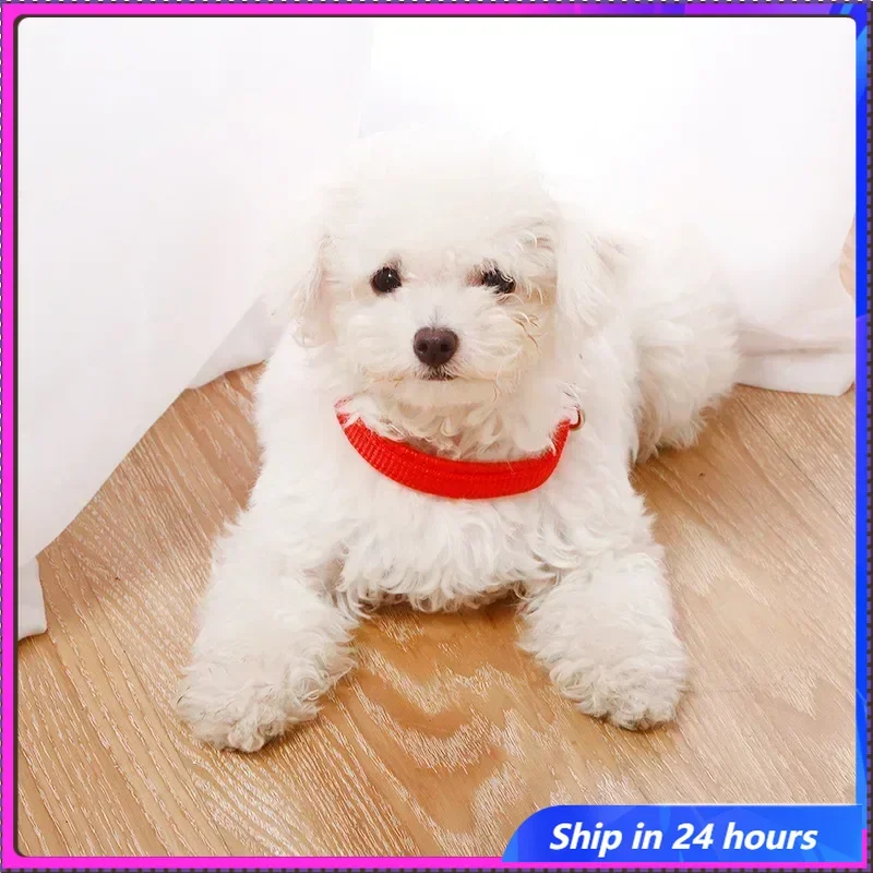 

Adjustable Nylon Pet Dog Collar for Small Large Dogs Sturdy Puppy Big Dog Collars Pitbull Pug Products for Pets Honden Halsband