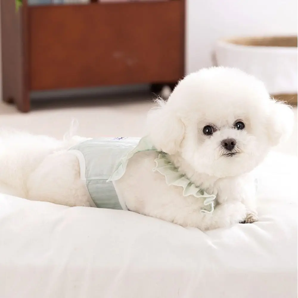 

Fashion Thin Dog Physiology Pants Breathable Solid Color Pet Dog Diapers Adjustable Integrated Summer Pet Pants for Dogs Puppy