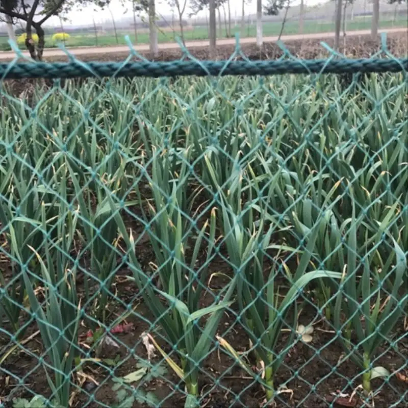 Robustes Anti-Vogel-Netz für den Garten, Hirsch, Zaunnetz, Gartennetz und Pflanzen, schützendes Zaunnetz für Anti-Vogel-Hirsch, Katzen und Hunde – Detail 14