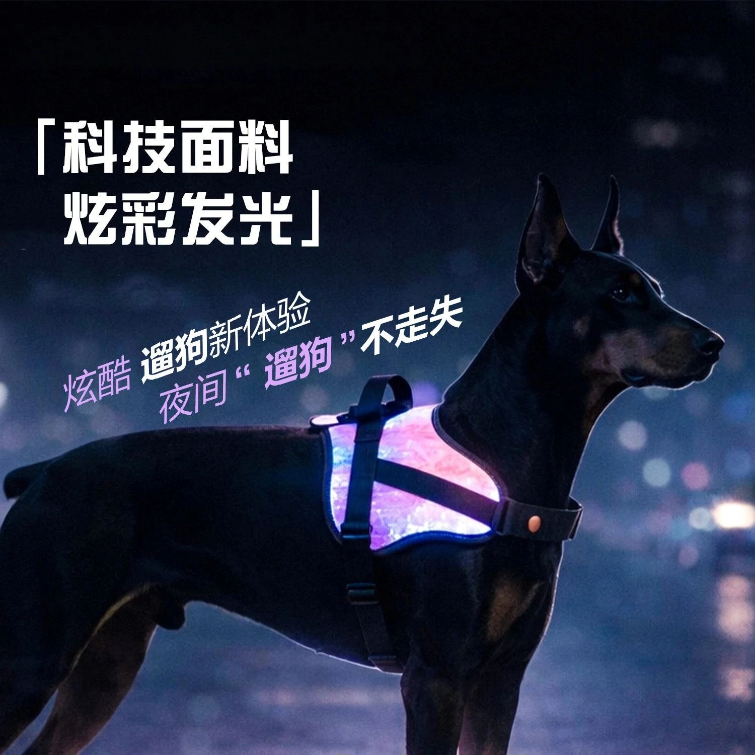 Dog chest back night dog walking artifact night out visual night running dog walking small medium and large  luminous light
