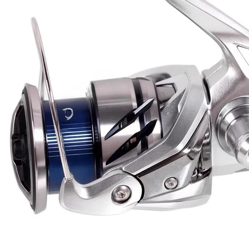 Stradic Little Stel…