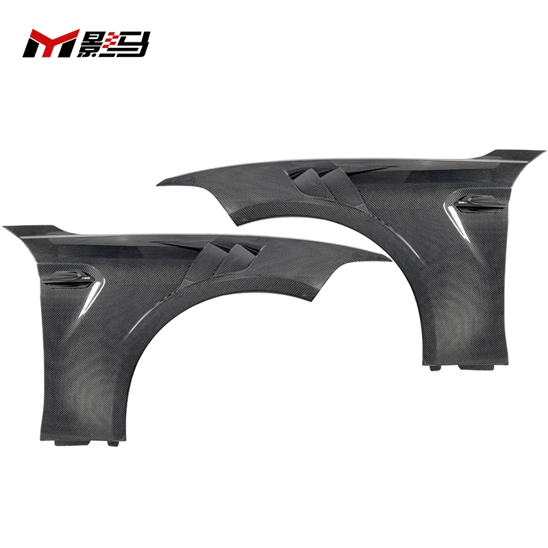 Carbon Fiber Fender…