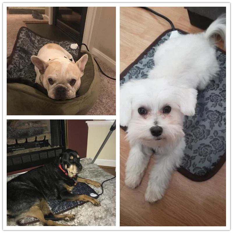 Benepaw قابل للتعديل لوحة التدفئة للكلاب القط جرو انقطاع التيار الكهربائي حماية الحيوانات الأليفة الكهربائية الدافئة حصيرة السرير سلك مقاوم للماء لدغة مقاومة