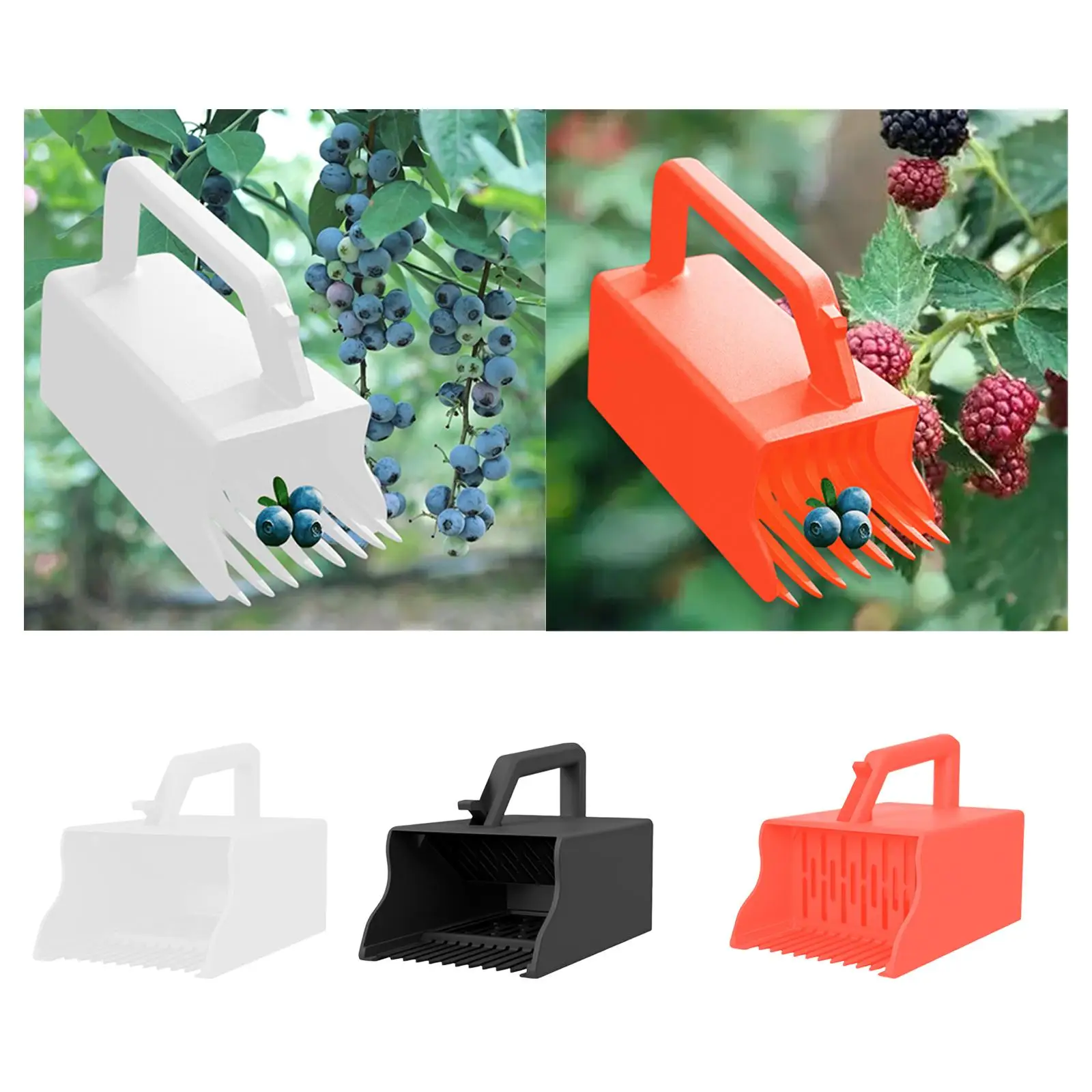 

Huckleberry Picking Rake Berry Harvester Blueberry Picker Scoop for Strawberries Huckleberries Blueberries Cranberries Currants
