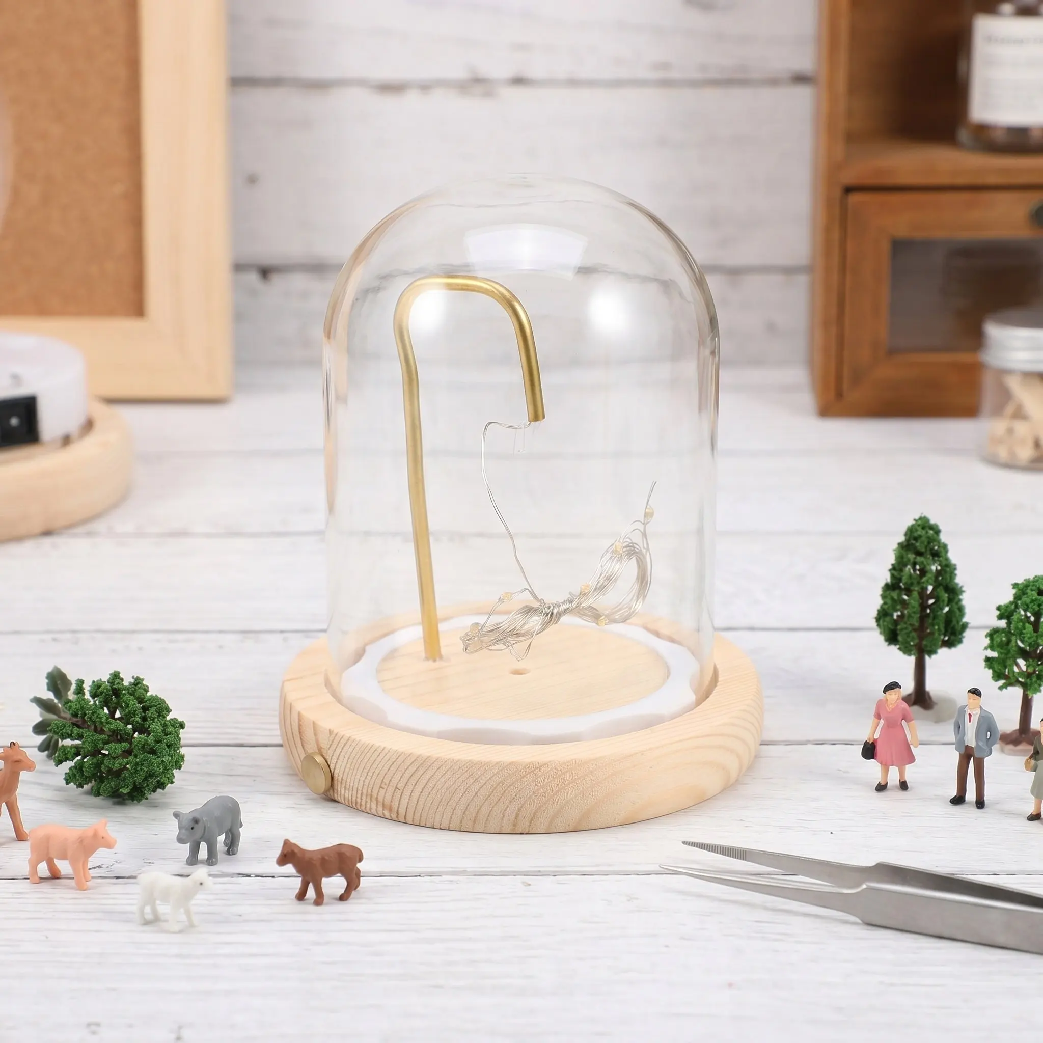 Glass Display Dome Wood Base LED Lighting Clear Cloche for Miniature Display Succulents Keepsakes Snow Globe Decoration view 6