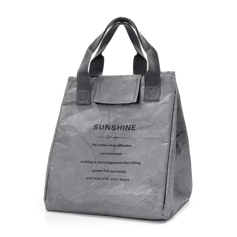 Dupont Kraft Paper Lunch Bag Insulated Reusable Pleated Tote Eco-Friendly Washable Waterproof Thermal Cooler for Work Picnic