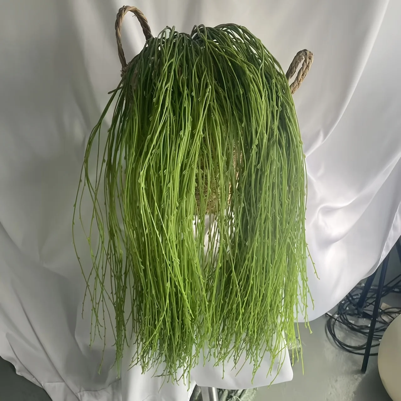 3 Stück grüne Weide, künstliche hängende Ranken für Hochzeit, Garten, Hof, Zuhause, Outdoor, Party, dekorative Pflanzen – Detail 9