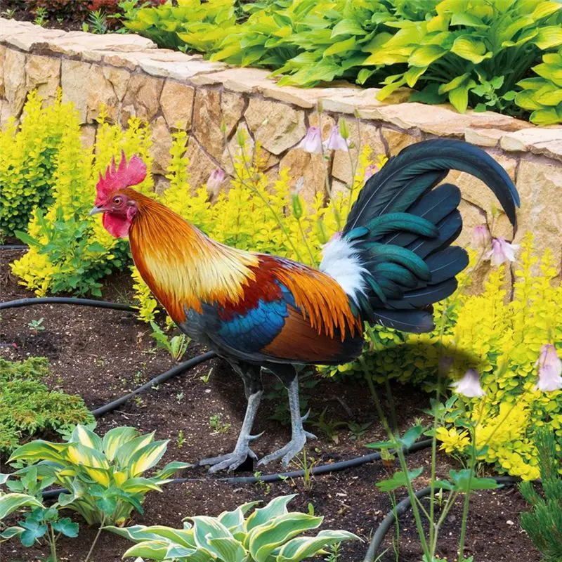 PZHI Acrylic Yard Rooster Sign, Garden Animal Insert Decoration, Outdoor Ground Insert Card for Lawn, Garden, Backyard
