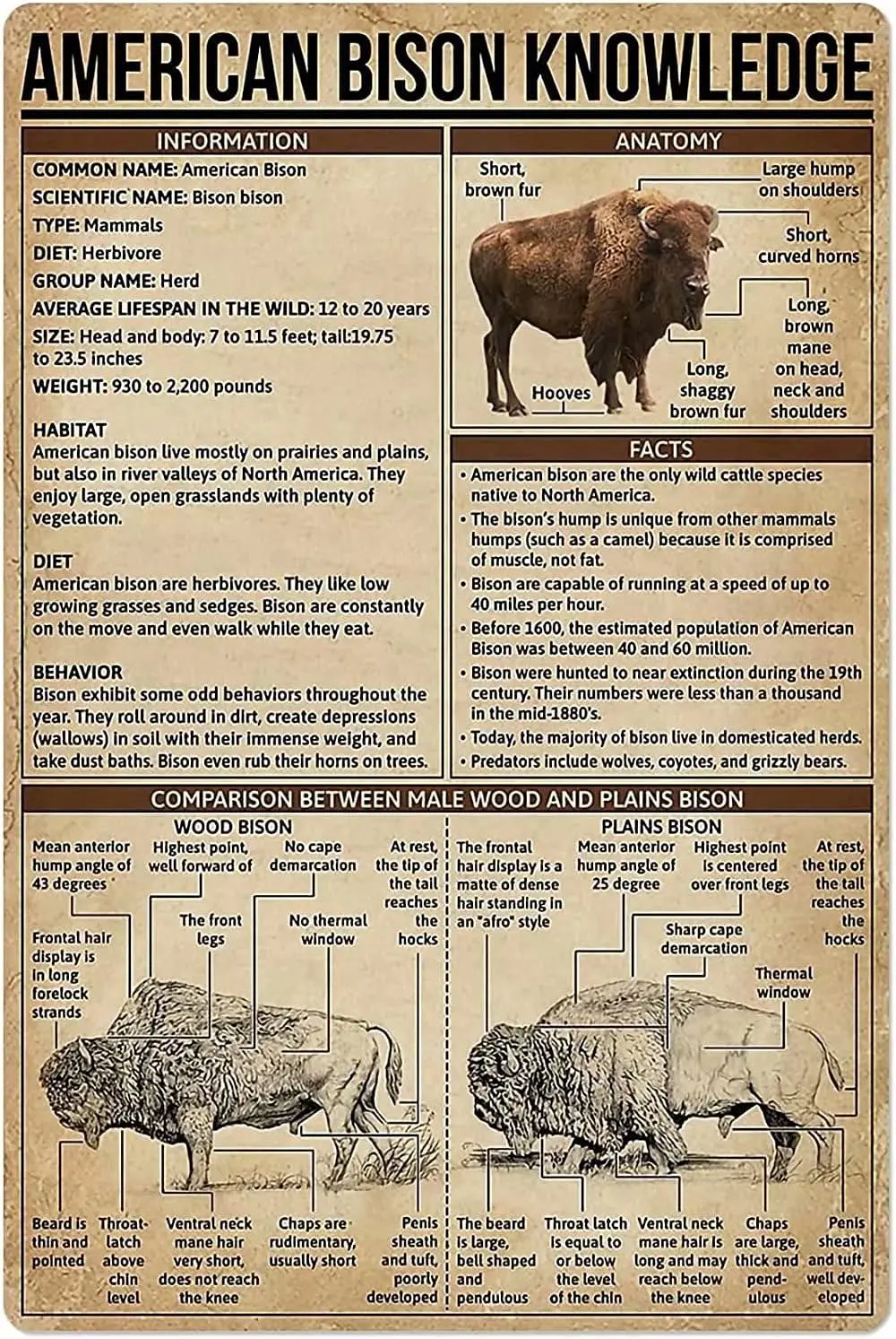 Pancarte métallique rétro de type affiche, thème bison américain, avec impression rétro comparative des bison de la Prairie et des bison de la forêt, pour école, ferme, café, bar