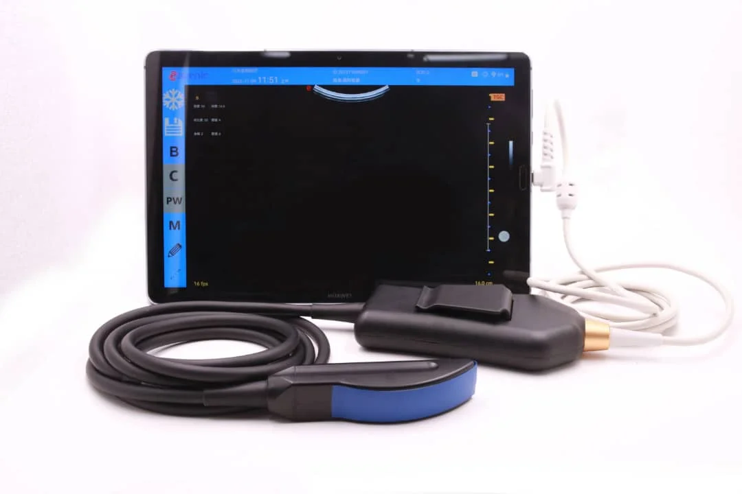 Handled  Doppler WIFI Cattle Ultrasound Scanner Portable Veterinary Sonar Scanner for Horse USG Cow Echo Scanner Pregnancy Test