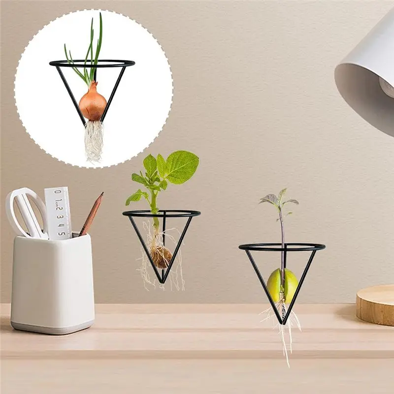 A21Q -4 Pieces Avocado Seed Growing Metal Stand For 3.15 Inch Wide Cup Root Seed Growing Stand Triangle Metal Stand For Seeds