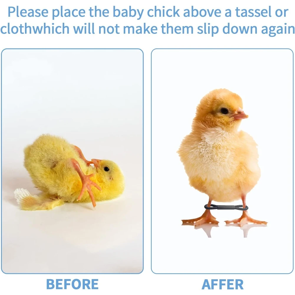 100 pçs bebê frango splay perna hobble cinta ajustável aves perna bandas para recém-nascido spraddle perna pintinho pássaro codorna patos