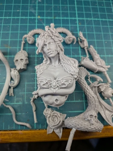 Buyer photo of this resin kit