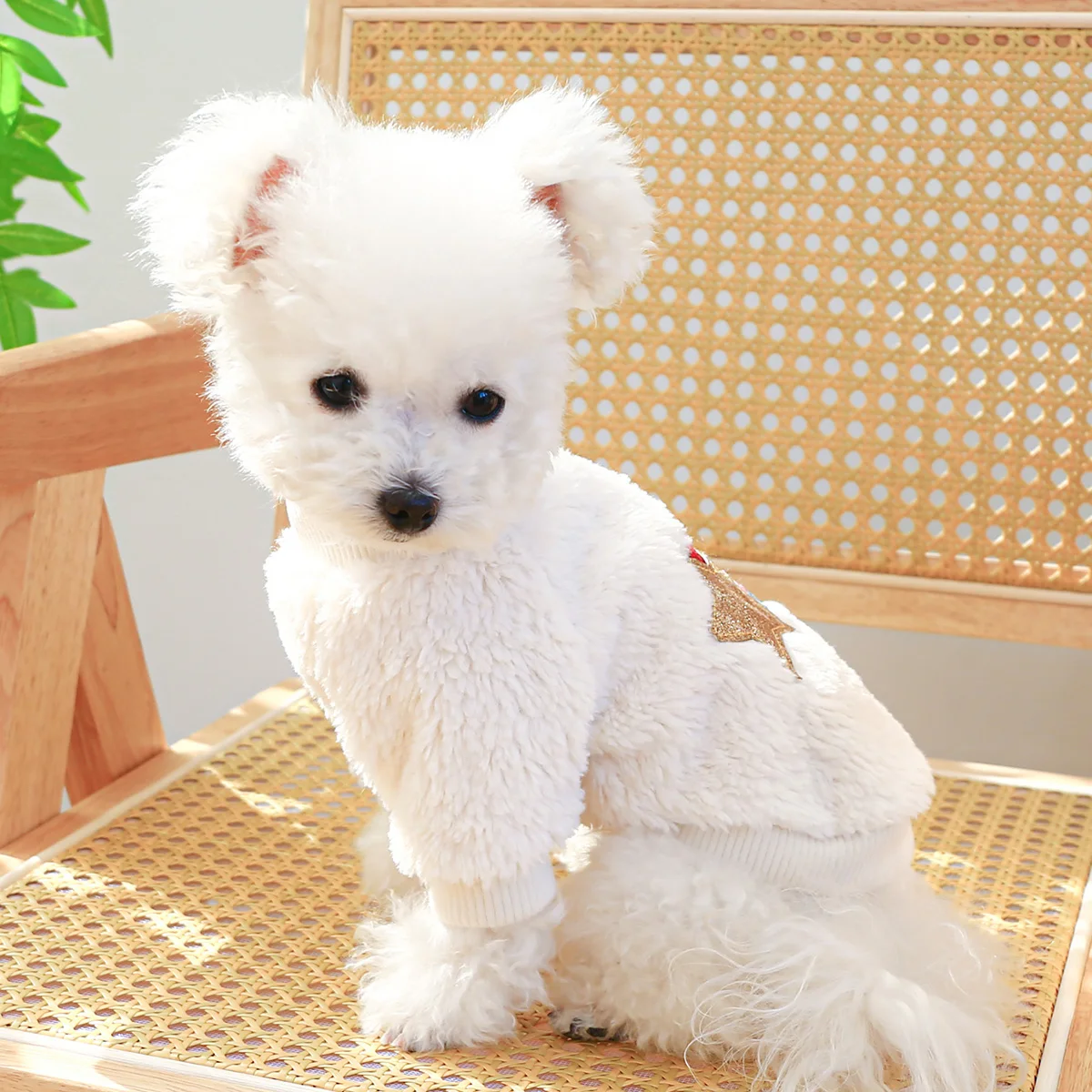 1PC Pet Clothing Dog Autumn and Winter Thickened Warm White Rainbow Pullover With Drawstring Buckle For Small Medium Dogs