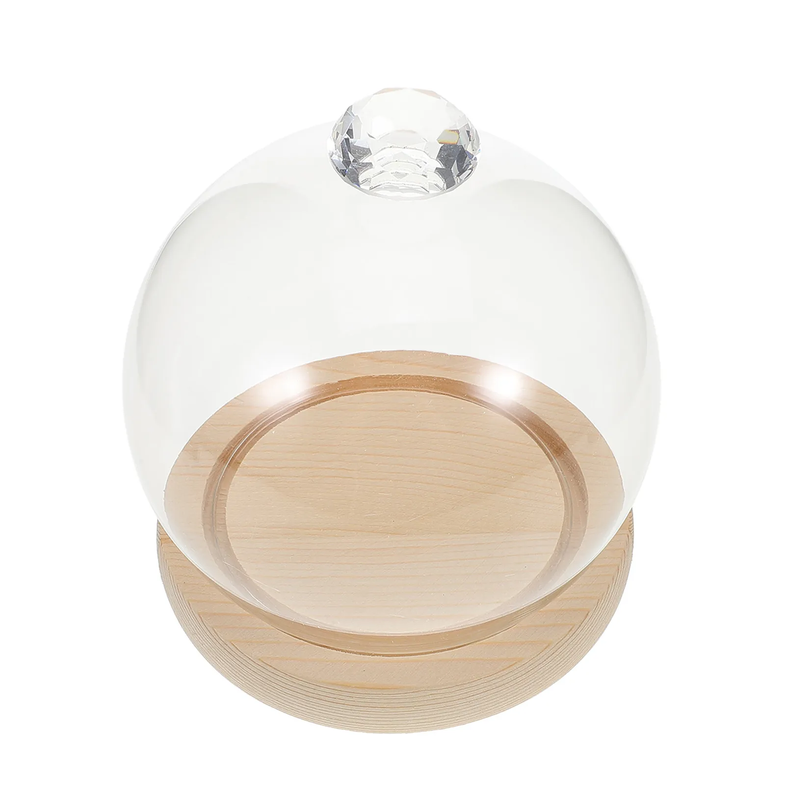 1Set Glass Display Dome Cloche Crystal Clear Round Globe Decorative Floral Vase Display Case Stable Base for Collection