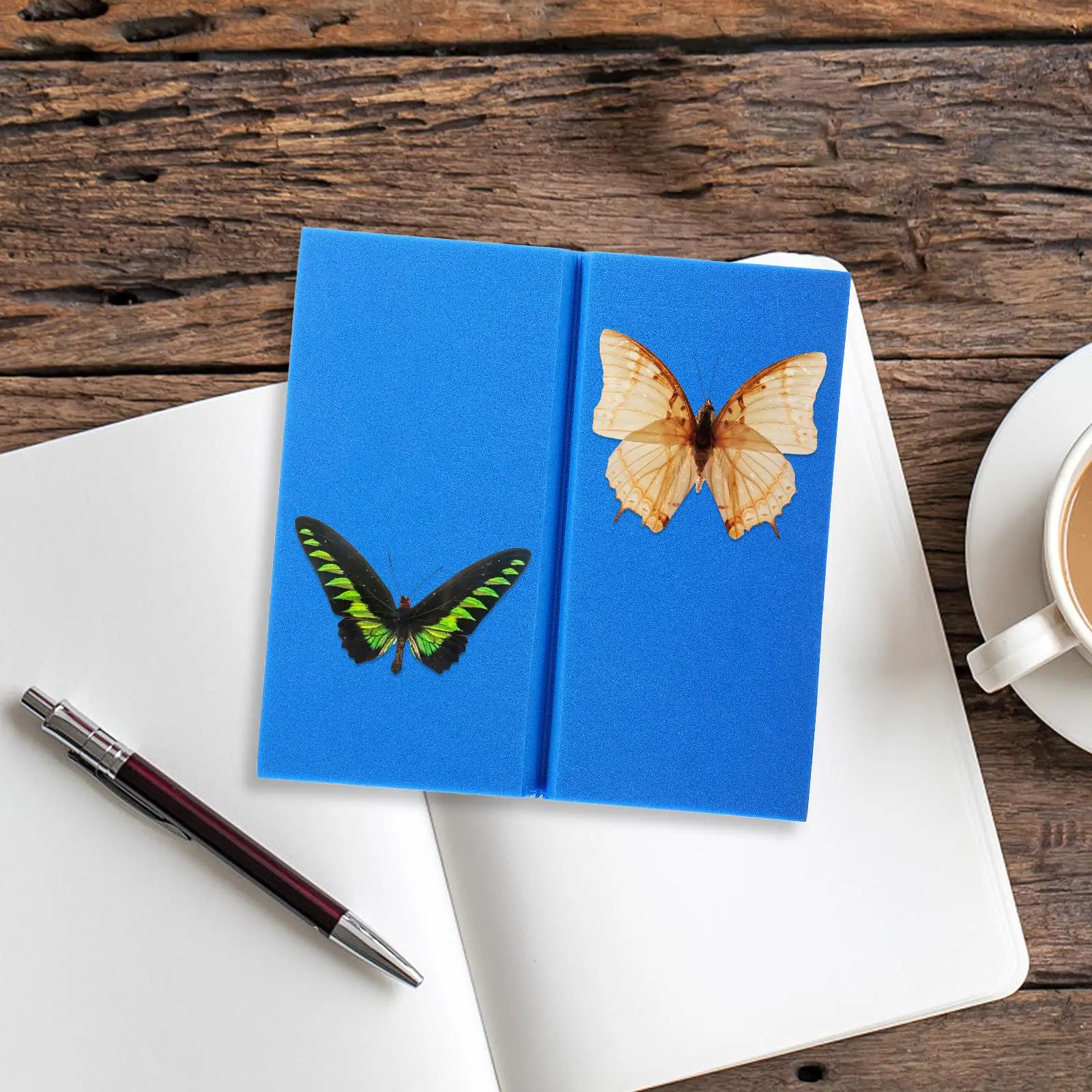 Fin Spread Board Butterfly Specimen Display Spreading High Density Insect Pinning Kit Eva Foam