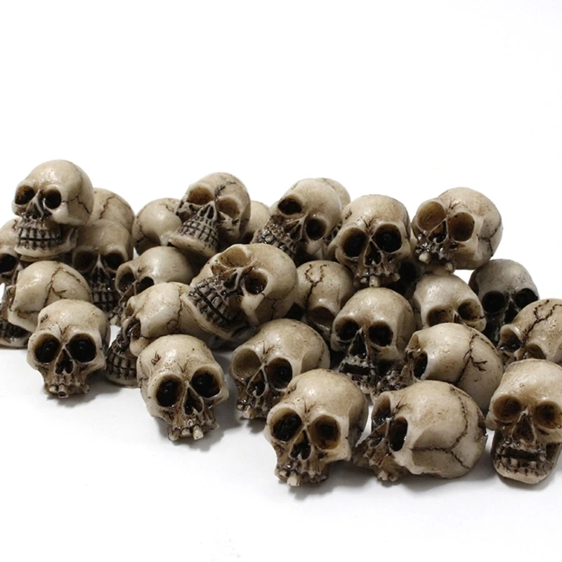 40pcs Small Collection Mini Skull Models for Home Decor and DIY Project