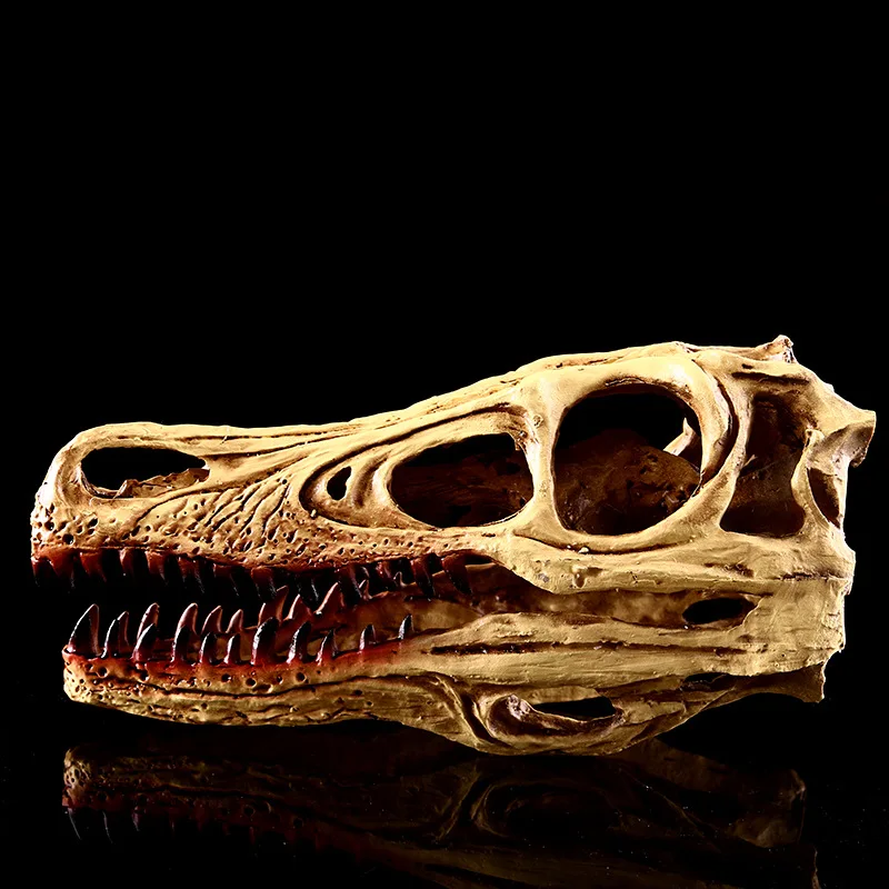 Velociraptor Skull, Resin Crafts, Skull, Personalized Ornaments, Dinosaur Skeleton, Gifts