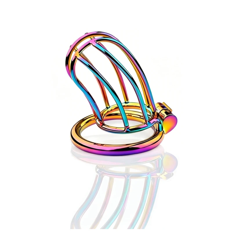 Rainbow Stainless Steel Male Chastity Cage with Lock, Metal Cock Cage Device, 3 Ring Sizes Adult Couple Toy