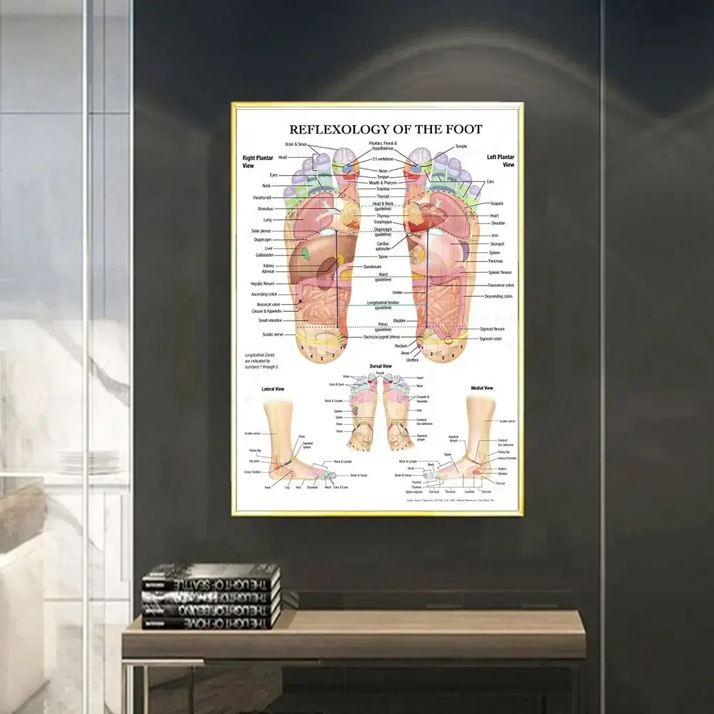 Scandinavian Simple Wall Art Acupuncture Points Diagram Anatomy Foot Reflexology Poster Print Home Bedroom Living Room Decor view 3