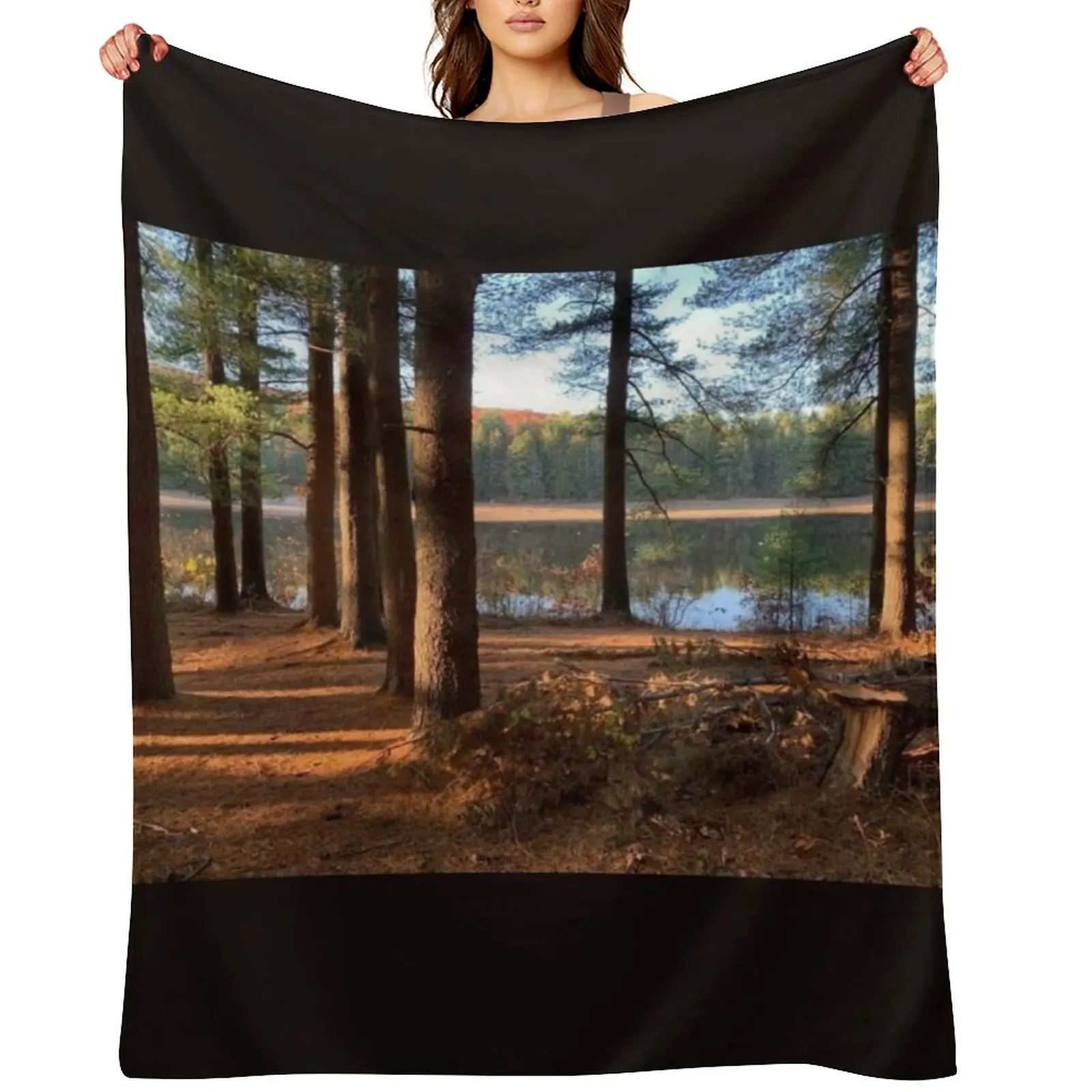 

Maxfield Parrish Landscape Photograph by Ellen Barton Harriman Throw Blanket Hairys Soft Retros Blankets