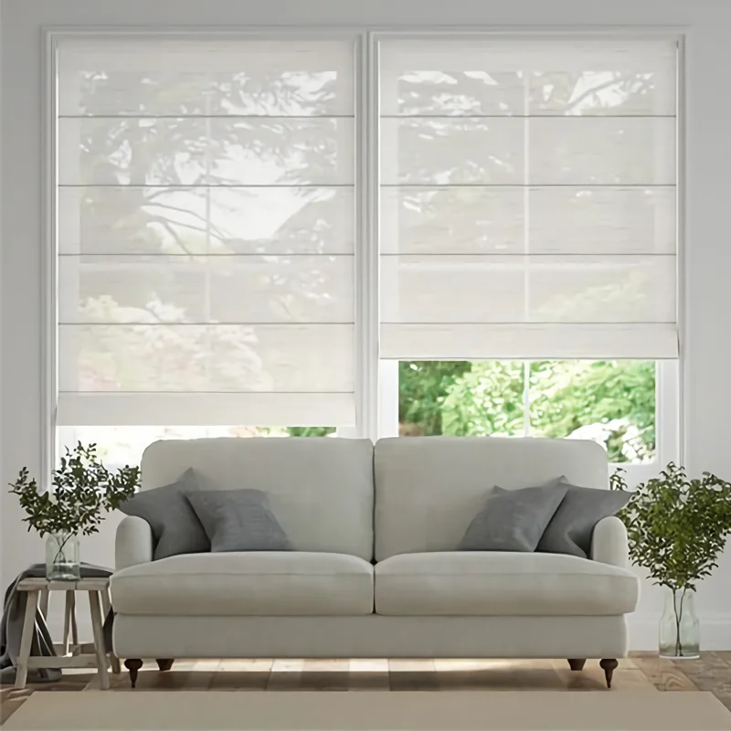 Smart Modern Built-In Plain Dual Roller Motor Blinds Blackout Double Layers Electric Motorized Roman Blinds