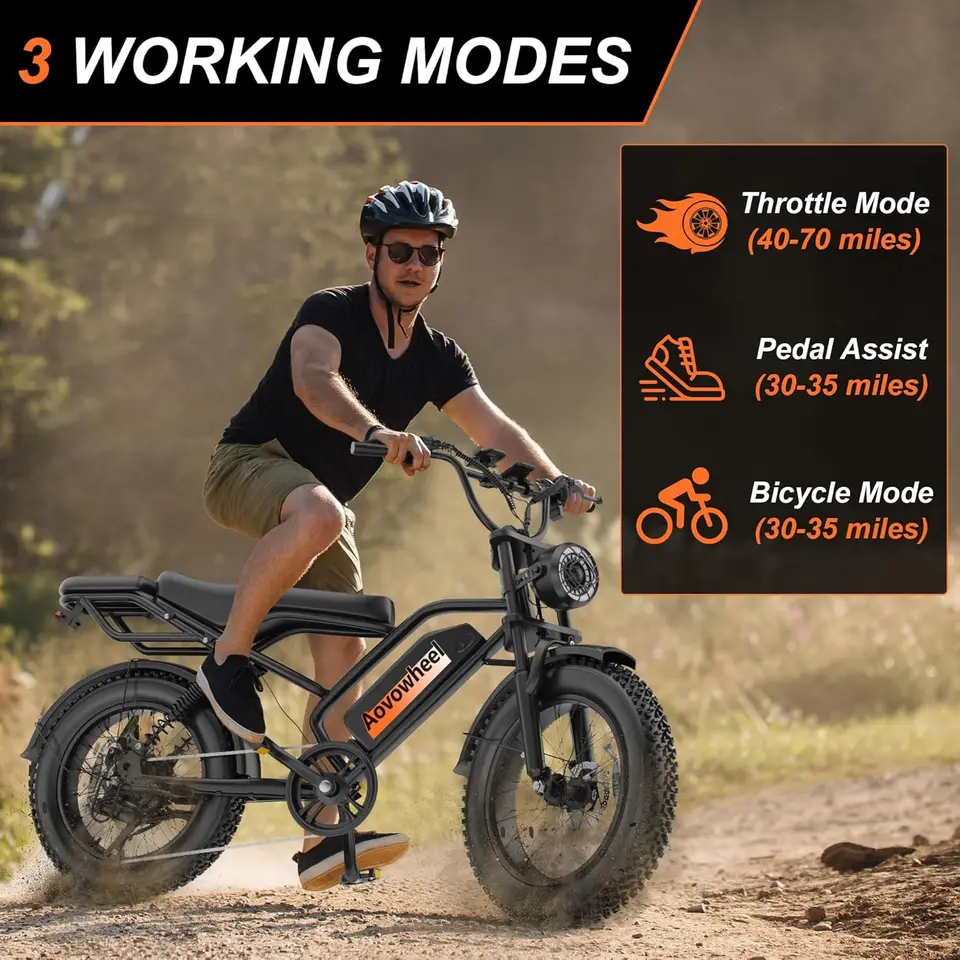 20" Fat Tire Electric Dirt Bike with 48V 18Ah Battery 70 Miles Electric Motorcycle Ebikes 31MPH Top Speed Full Suspension image 2