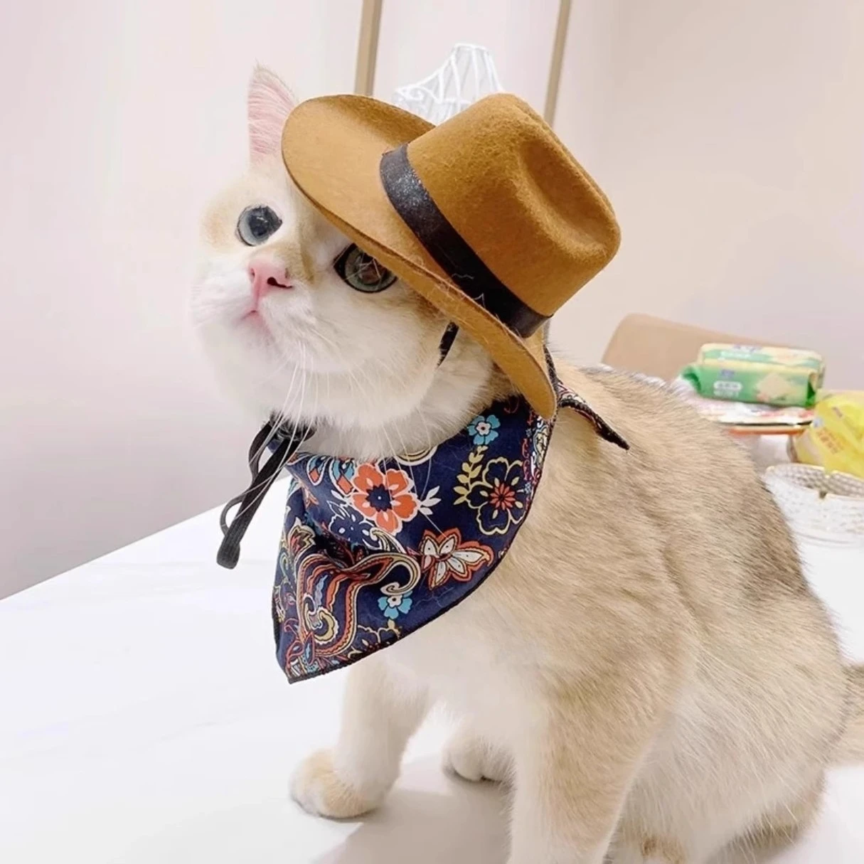  Cat Cowboy Hat Pet Head Acce - Cowboy Hat Straw review and price