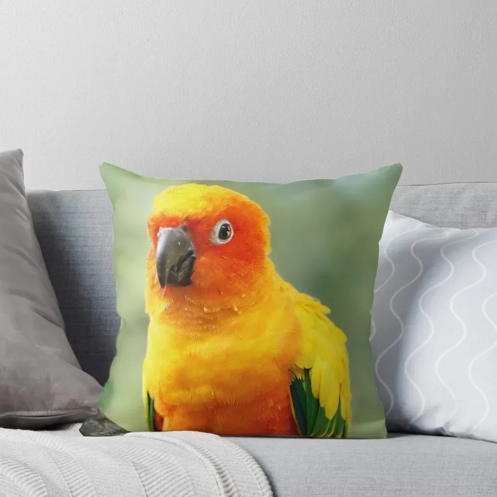 Sun Conure Throw Pillow autumn pillowcase Pillowcases Bed Cushions pillow