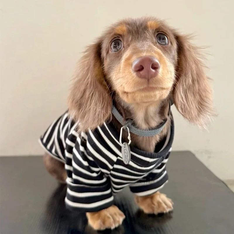 Camiseta a rayas para perros pequeños Wiener, abrigo largo sin mangas para perros salchicha, pijamas suaves de verano para perros salchicha, primavera y otoño