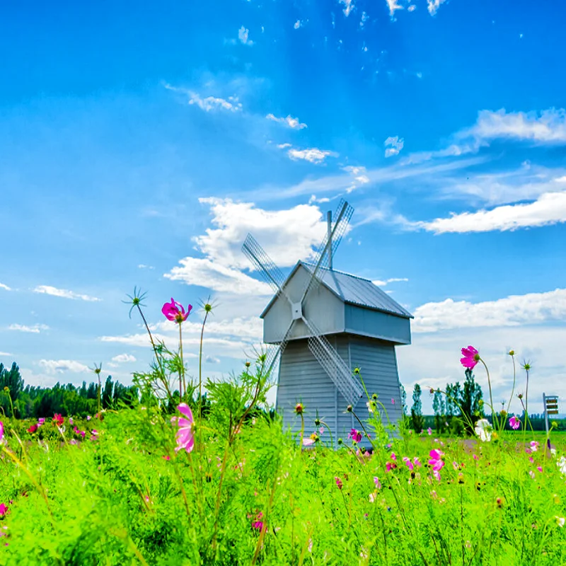 

Professional Magnetic PE Facial Lifting Machine Anti-aging Wrinkle Removal Skin Tightening Body Slimming Peface Machine