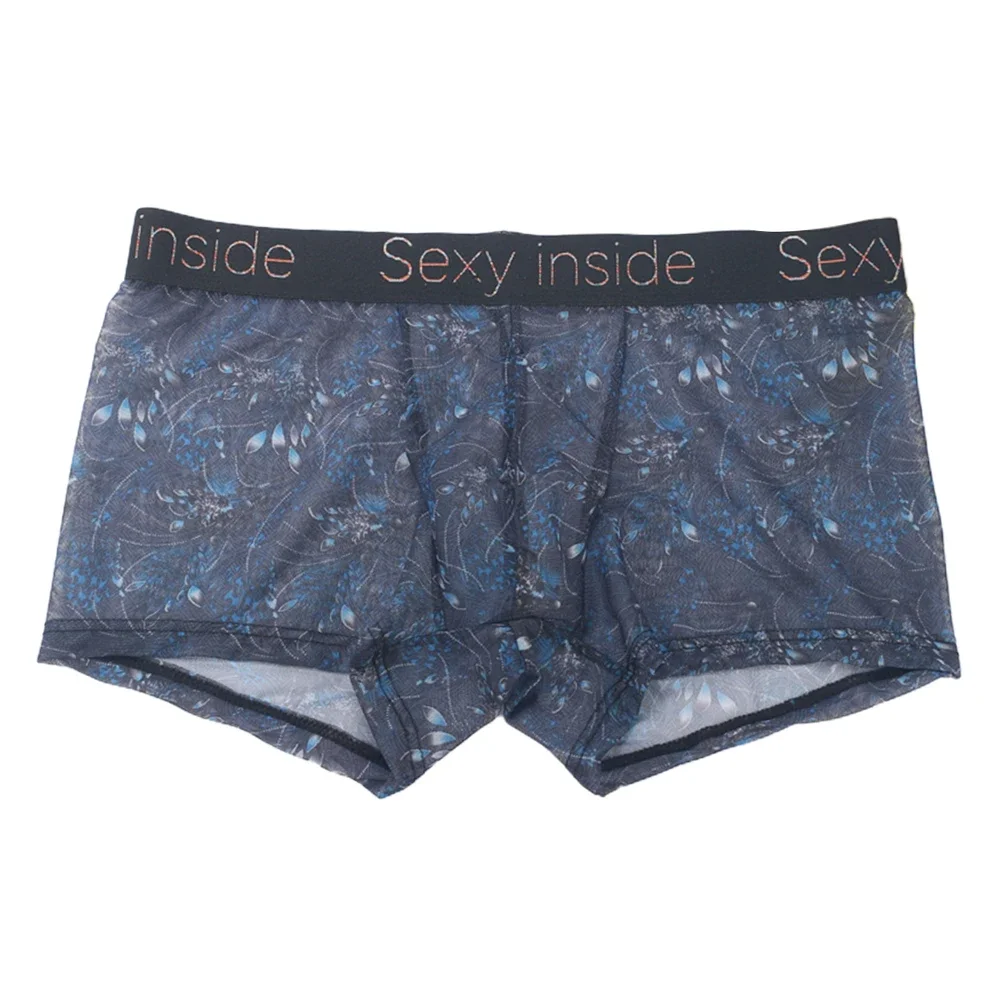 

Underpant Bra Pantys Underpants Underwear Transparent Mesh Men's Boxer Brief Underwear Panties in Ice Silk Fabric