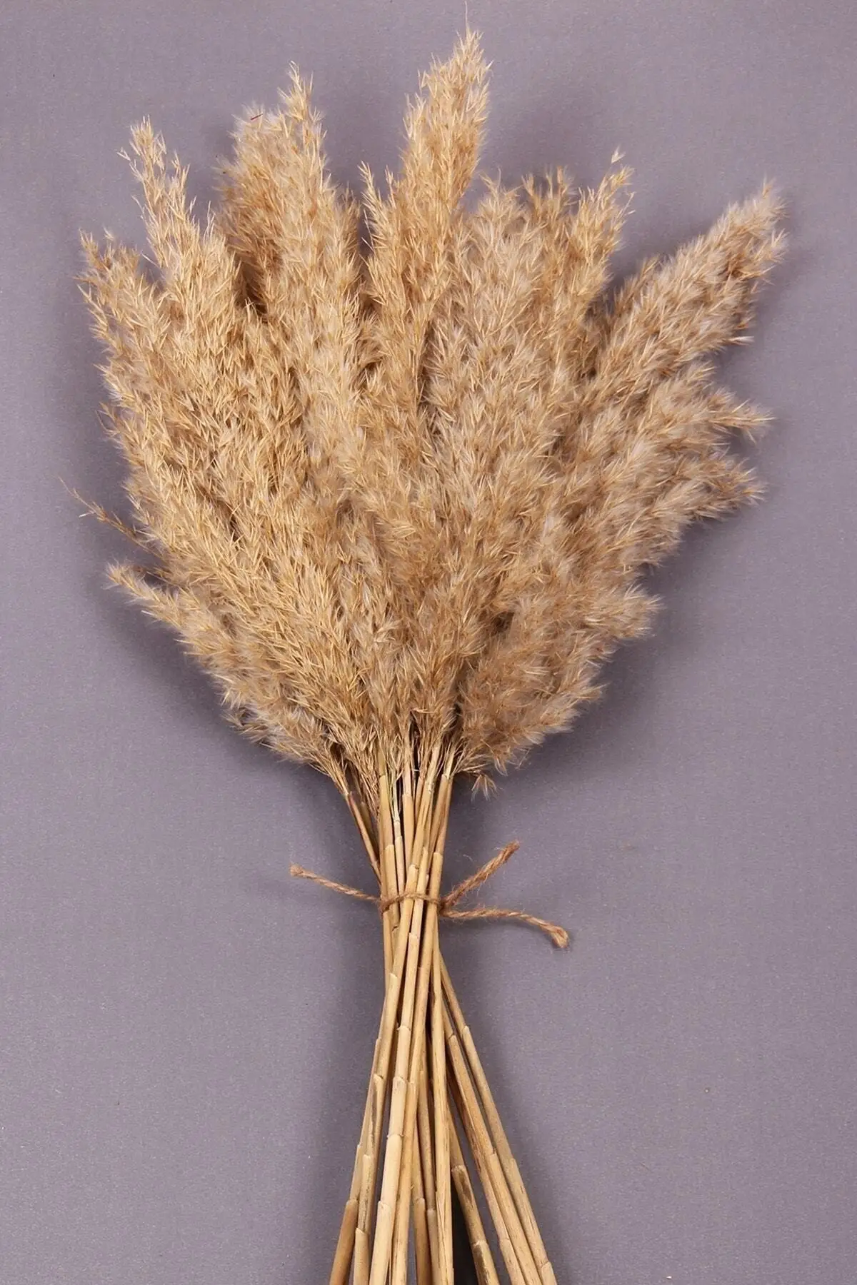 Natural Dried Flower Pampas 15 Pieces 65 Cm, Home - Office - Store Decoration, Living Room Decoration, Free Shipping,