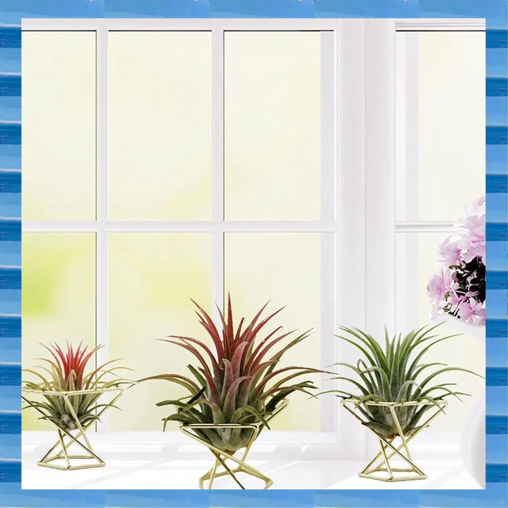 AT53 15 Pcs Geometric Air Plant Holder Airplants Rack Metal Plants Stand Planter Shelves Himmeli Decor Tillandsia Containers