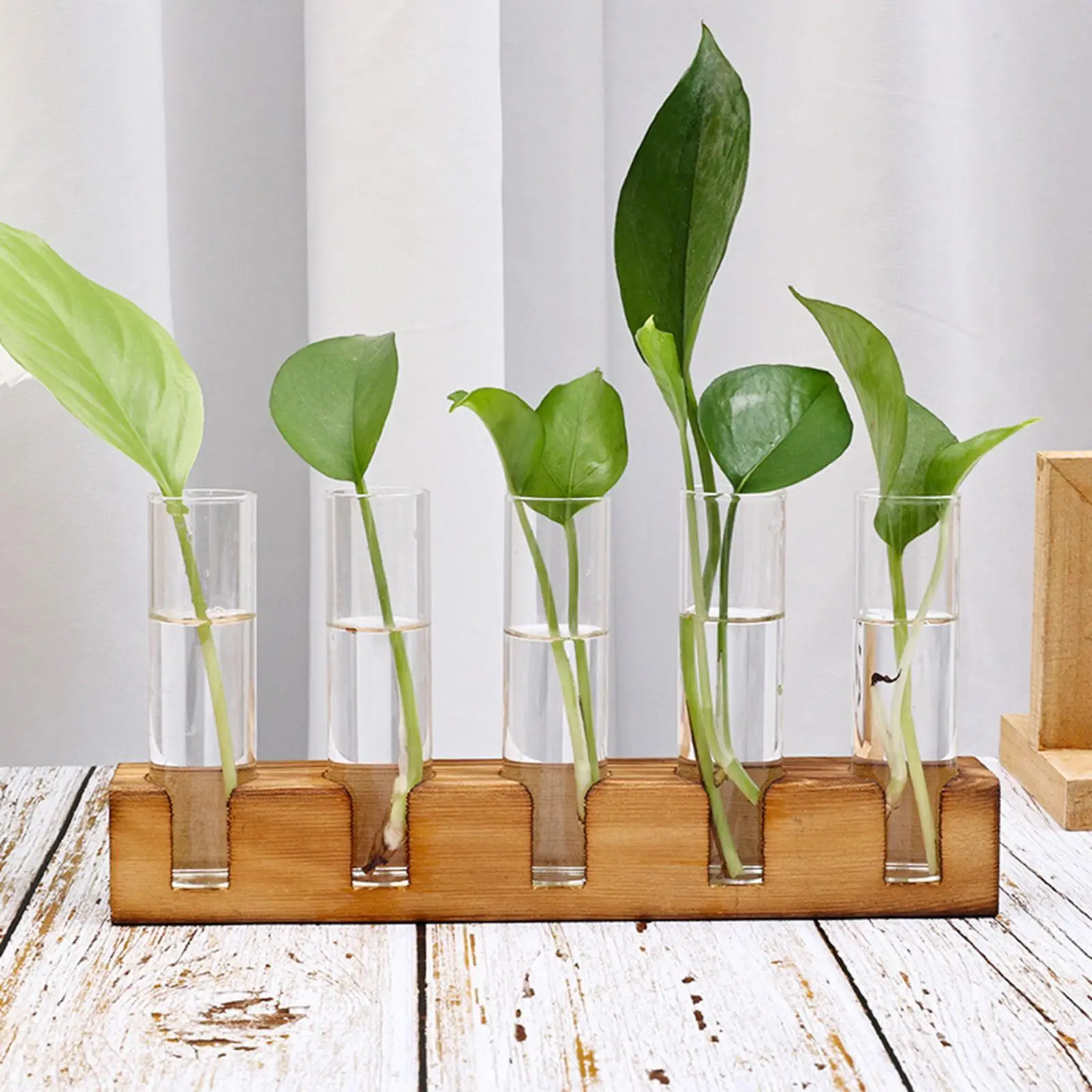 Plant Terrarium Plant Propagation Tubes with Wooden Stand, Flower Arrangement Unique Mini Flower Vase Test Tube Vase Bud Vase