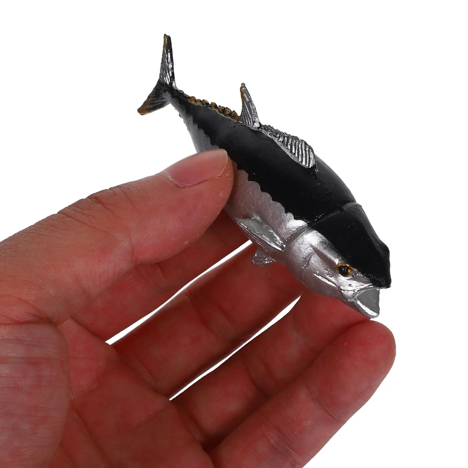 

Реалистичная фигурка тунца из прочного пластика: развивающая игрушка-рыба для детских исследований природы, украшение для рабочего стола и полки в детской комнате