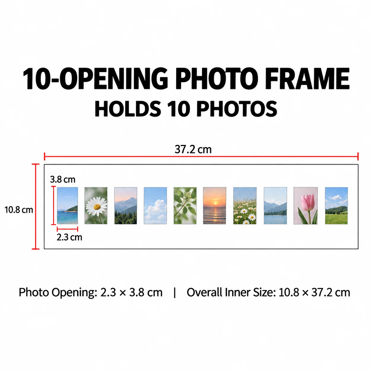 10-Square Mini Photo Frame Setting for Specimen Decoration