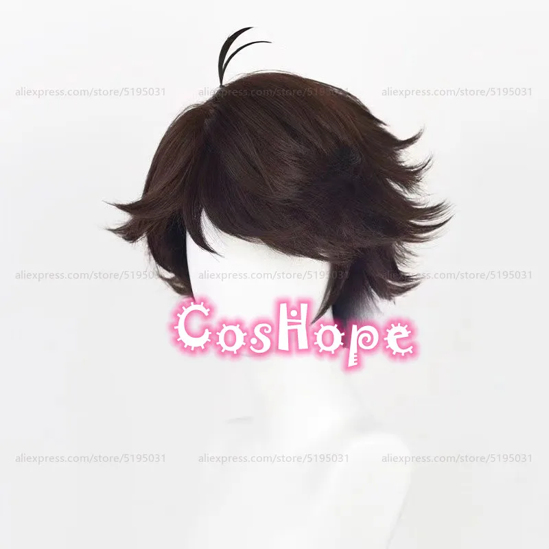 Oikawa Tooru Cosplay Wig 28cm Short Brown Wig Cosplay Anime Cosplay Wigs Heat Resistant Synthetic Wigs Halloween