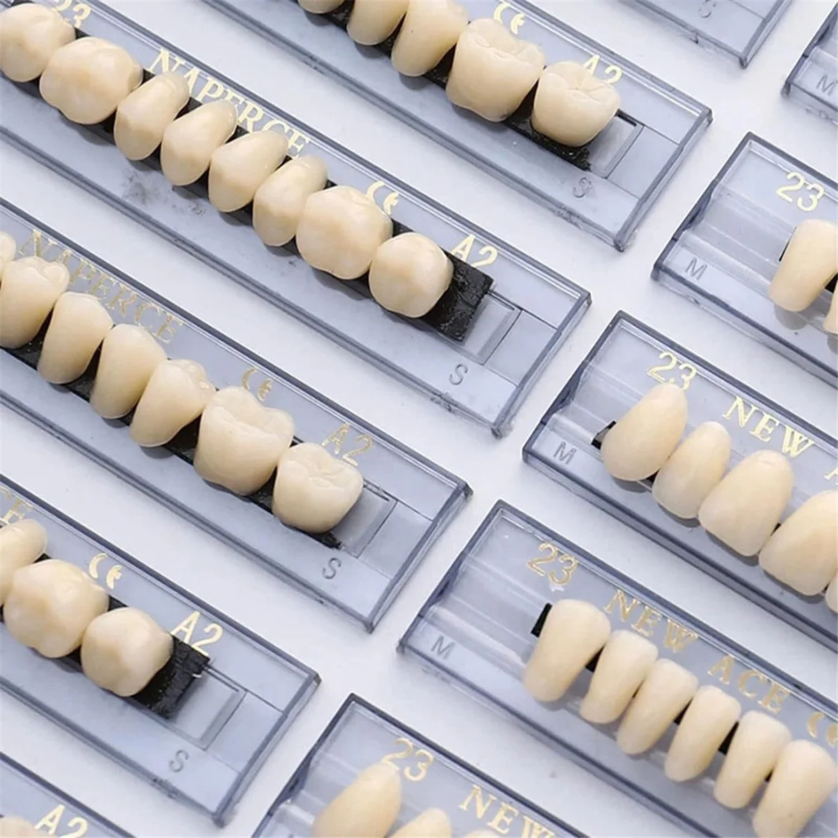 Dentadura De Resina Sintética Para Dentes De Terror De Halloween, Odontologia, Educação Odontológica, 168 Dentes