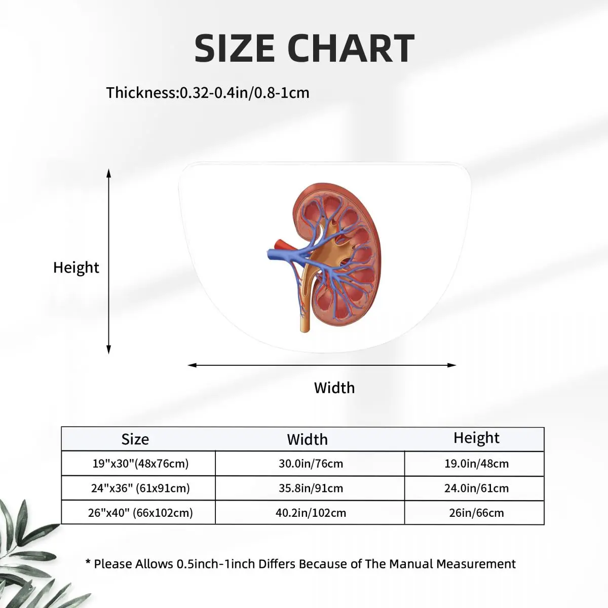 Medical Illustration Of Kidney Anatomy Soft Flannel Half Round Doormat Non Slip Bathroom Mat Absorbent Floor Carpet for Bathroom