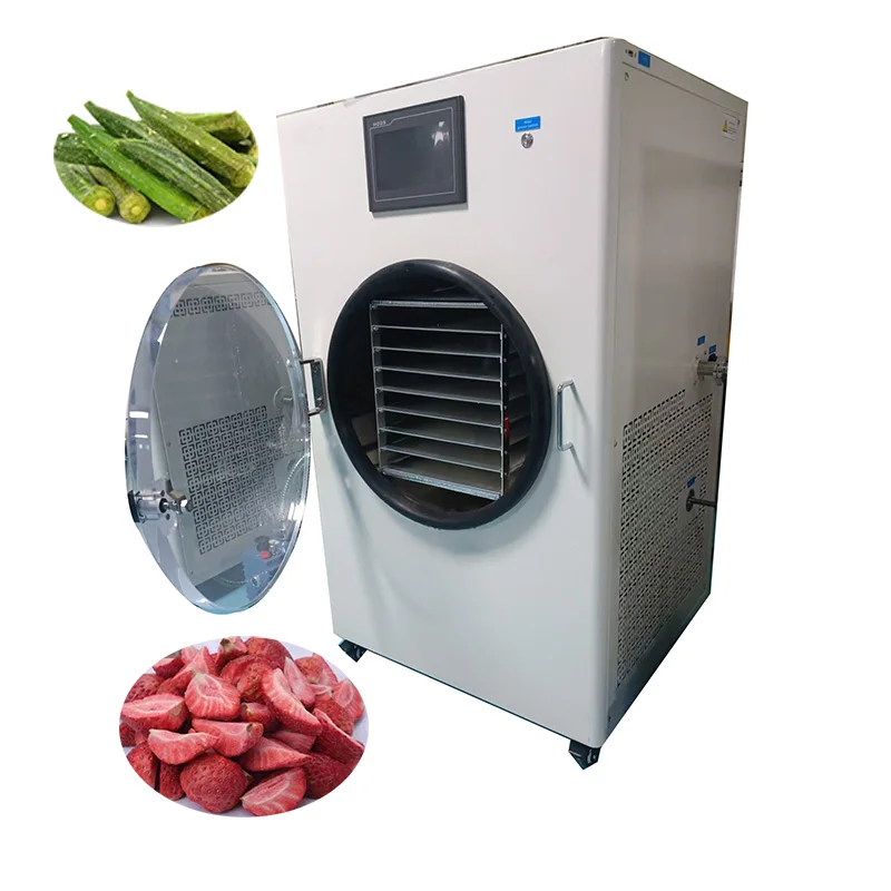 Household Lyophilizer Vacuum Freeze Dryer For Pet Food Fruit Candy Freeze Drying Machines For Sale