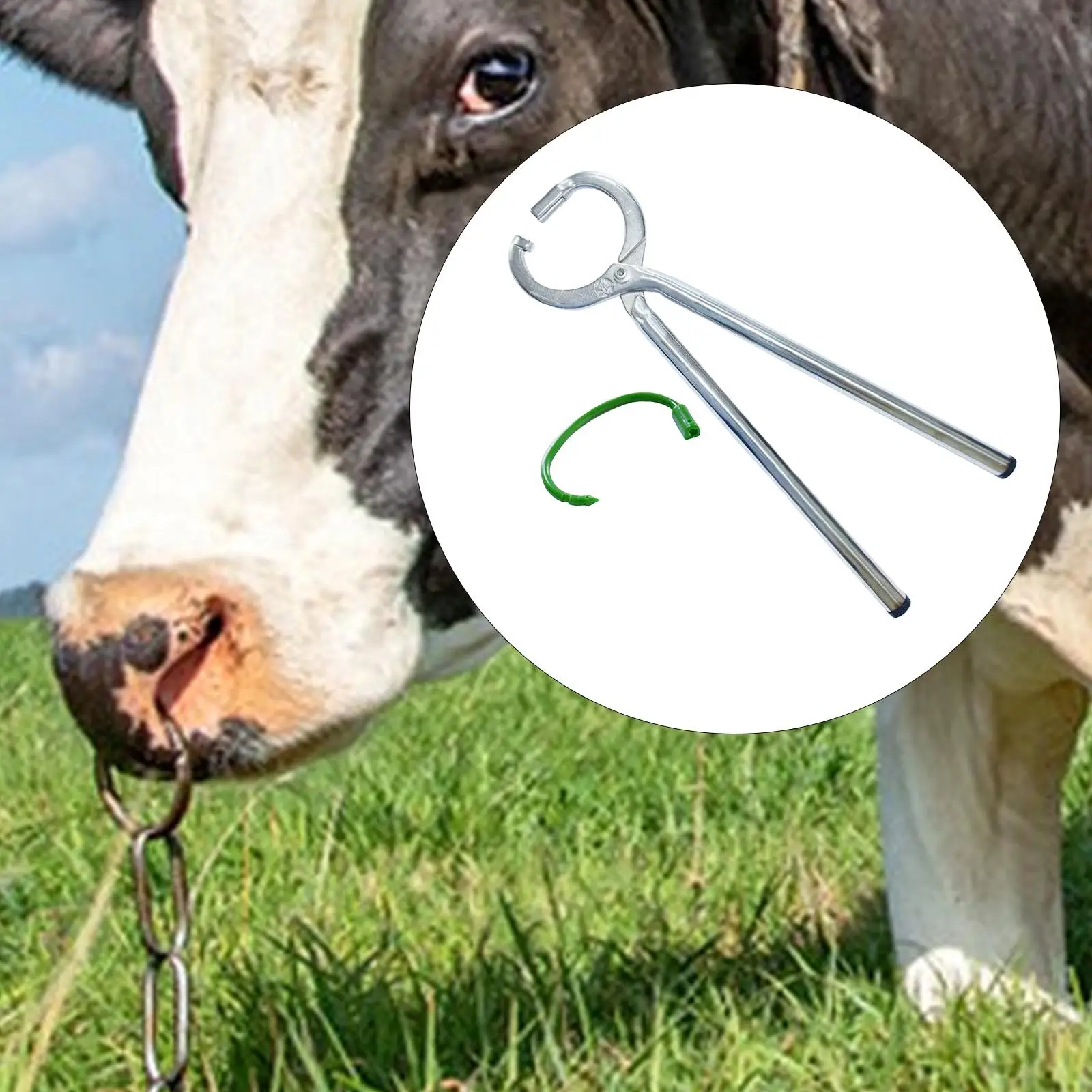 Alicates para anillos de nariz de ganado, herramienta de instalación de aro de nariz para tirar de toro, fácil de usar, herramienta de perforación para granja bovina, pasto, cría