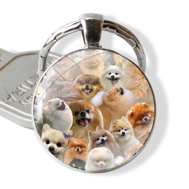 Pomeranian dogs dog Keychain Handmade Glass Cabochon Key Ring Holder Pendant Key Chains