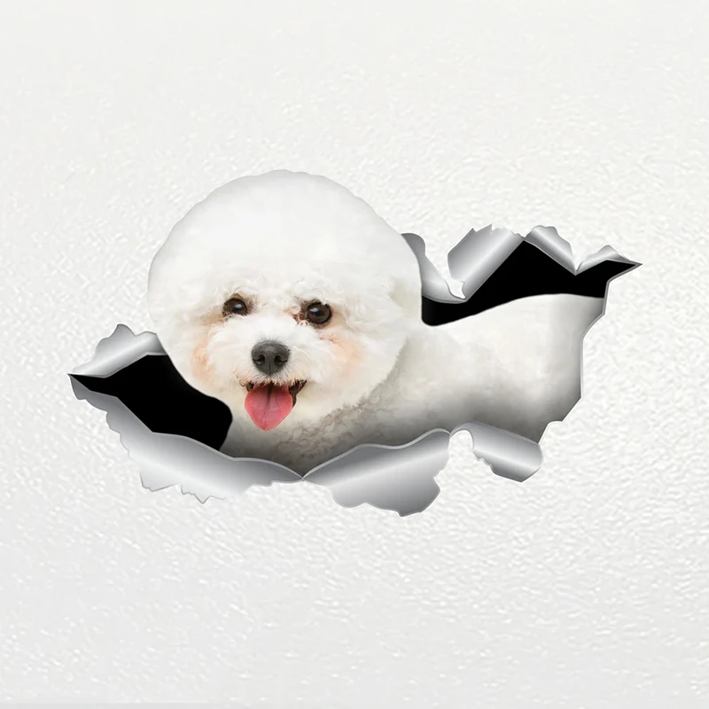 

S62215# Car Sticker Bichon Frise Dog Pet Animal Waterproof Vinyl Decal Car Accessories Decor Pegatinas Para Coche