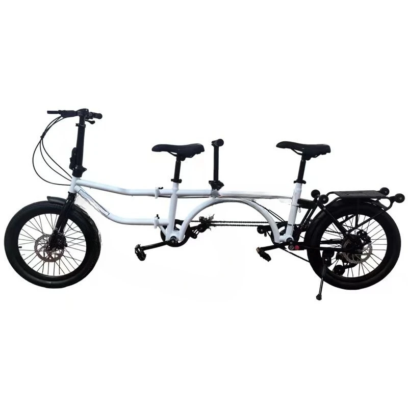 

Double bicycle folding variable speed parent child family with baby car three people scenic